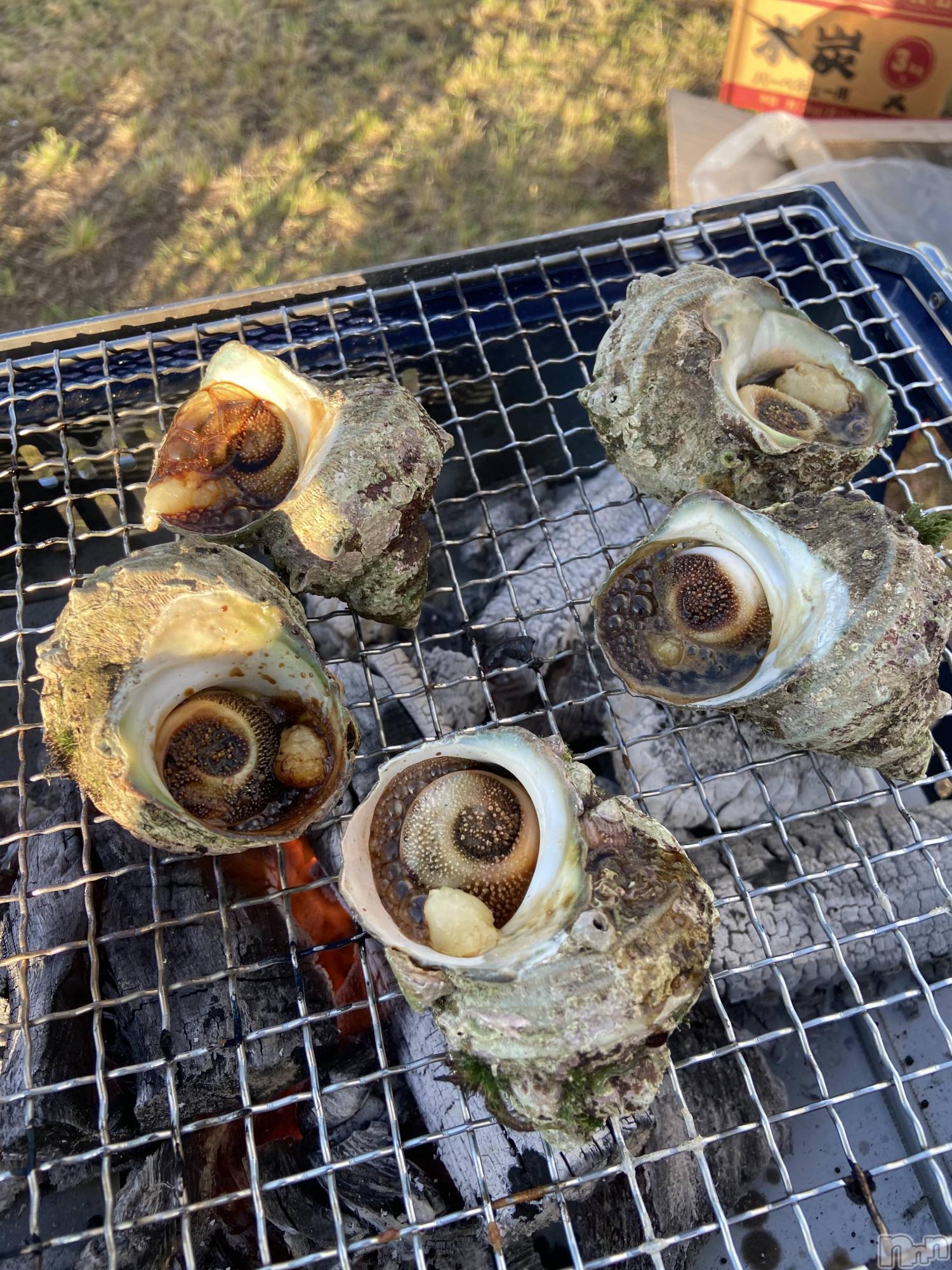 Ĺ襳ѥ˥󥯥Ĺѥ˥󥯥 UP -å-(ʥѥ˥󥯥֥å) 2021ǯ61̥֥ϥ