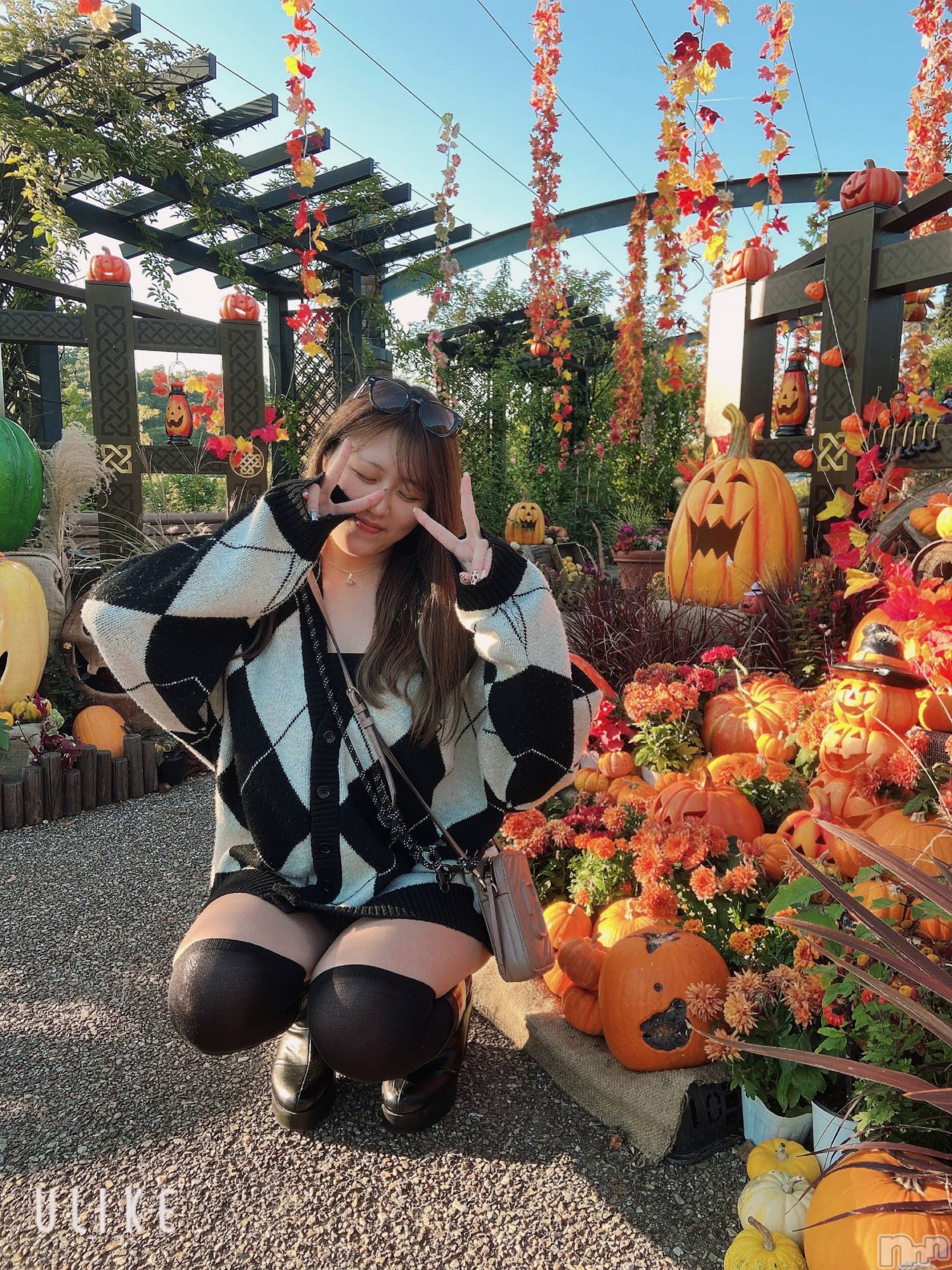Ĺ襳ѥ˥󥯥Ĺѥ˥󥯥 UP -å-(ʥѥ˥󥯥֥å) 2023ǯ1031̥֥Ѥۤ♡