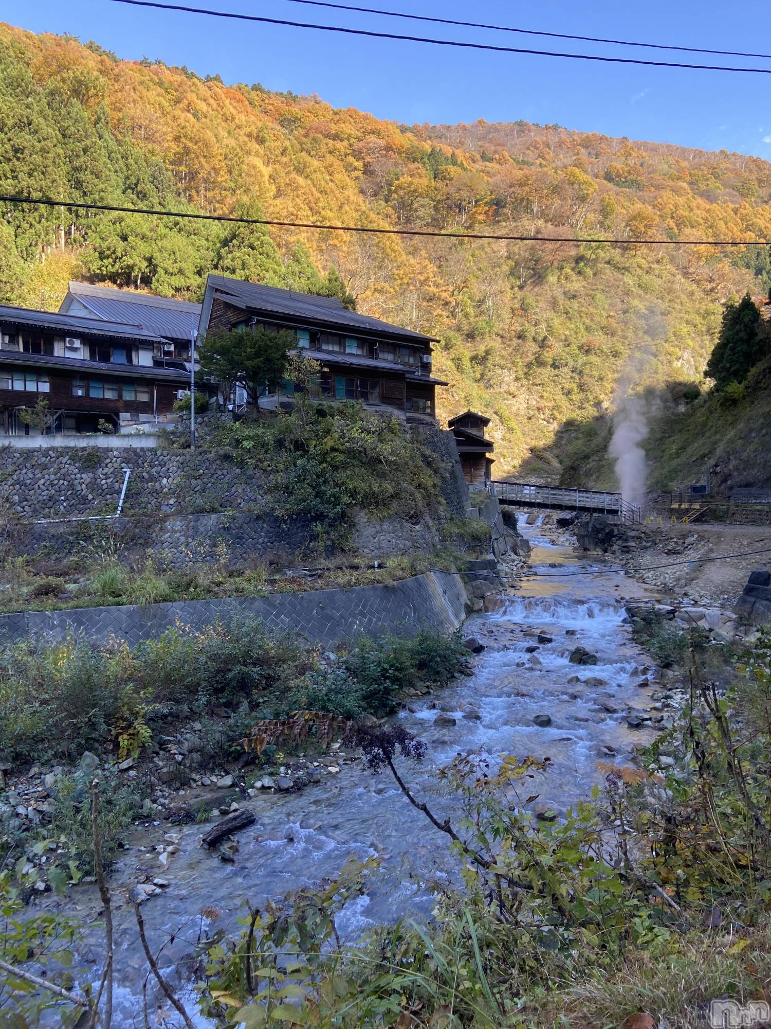 Ĺ襳ѥ˥󥯥Ĺѥ˥󥯥 UP -å-(ʥѥ˥󥯥֥å) 2024ǯ1118̥֥֤ʬ