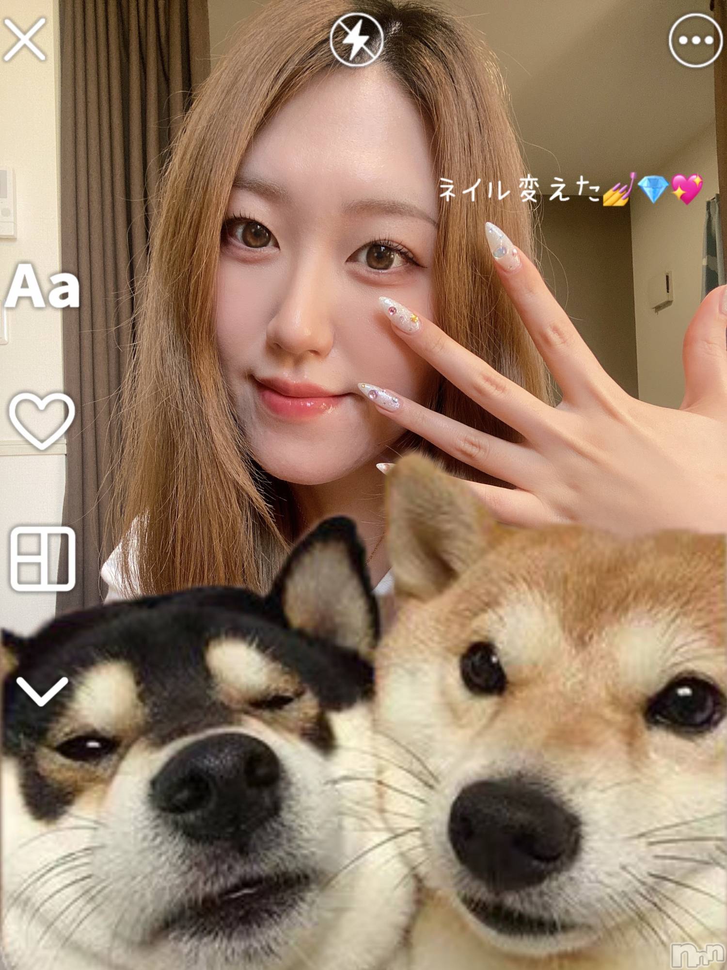Ĺ�����������襳��ѥ˥��󥯥��Ĺ������ѥ˥��󥯥�� UP -���å�-(�ʥ���������ѥ˥��󥯥�֥��å�) ��2026ǯ5��5���̥�֥����֎��ޡ�������������
