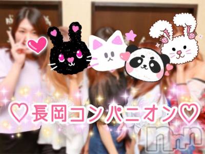 Ĺ襳ѥ˥󥯥Ĺѥ˥󥯥 UP -å-(ʥѥ˥󥯥֥å) 夲(27)617ֻ̥֥ƥեå2