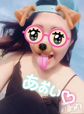 Ĺ襳ѥ˥󥯥Ĺѥ˥󥯥 UP -å-(ʥѥ˥󥯥֥å) 夲(27)726ֲ̥֥ʡ