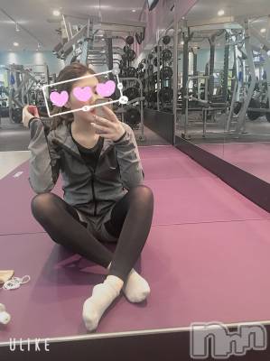 Ĺ襳ѥ˥󥯥Ĺѥ˥󥯥 UP -å-(ʥѥ˥󥯥֥å) 夲(27)531ֺ̥֥ϵ㤭ޤ
