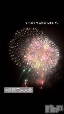 Ĺ襳ѥ˥󥯥Ĺѥ˥󥯥 UP -å-(ʥѥ˥󥯥֥å) 夲(27)85ֵ̥֥㤭ޤ