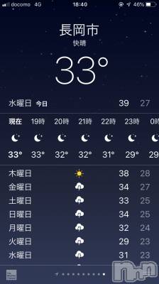 Ĺ襳ѥ˥󥯥Ĺѥ˥󥯥 UP -å-(ʥѥ˥󥯥֥å) 夲(27)814̥֥֤ޤäơ