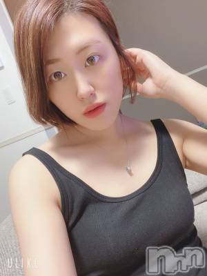 Ĺ襳ѥ˥󥯥Ĺѥ˥󥯥 UP -å-(ʥѥ˥󥯥֥å) 夲(27)710ֺ̥֥Ƕ;Τ磻ʷ