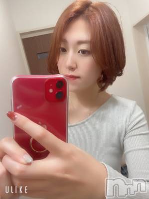 Ĺ襳ѥ˥󥯥Ĺѥ˥󥯥 UP -å-(ʥѥ˥󥯥֥å) 夲(27)105̥֥֤Ϥ