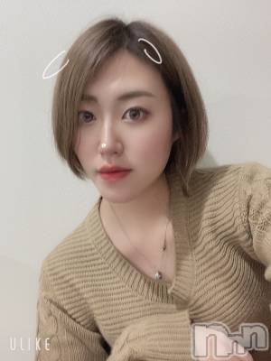 Ĺ襳ѥ˥󥯥Ĺѥ˥󥯥 UP -å-(ʥѥ˥󥯥֥å) 夲(27)123ֺ̥֥ī饦