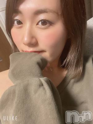 Ĺ襳ѥ˥󥯥Ĺѥ˥󥯥 UP -å-(ʥѥ˥󥯥֥å) 夲(27)519ֿ̥֥