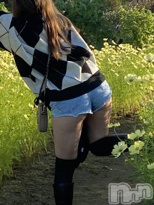 Ĺ襳ѥ˥󥯥Ĺѥ˥󥯥 UP -å-(ʥѥ˥󥯥֥å) 夲(27)1027ֿ̥֥ͥ