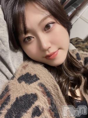 Ĺ襳ѥ˥󥯥Ĺѥ˥󥯥 UP -å-(ʥѥ˥󥯥֥å) 夲(27)228̥֥֤֡οʹֳ