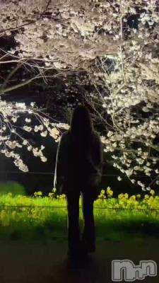 skrrr🎶�ä�����ǡ���🌸