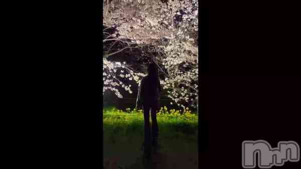 ��skrrr🎶�ä�����ǡ���🌸��