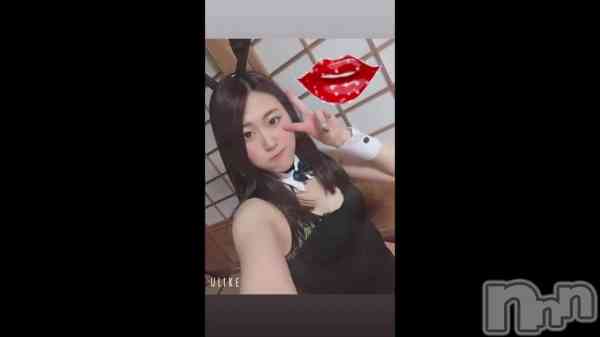 ֤bunny