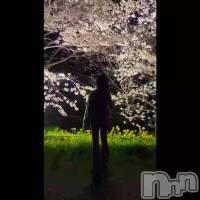 skrrr🎶�ä�����ǡ���🌸