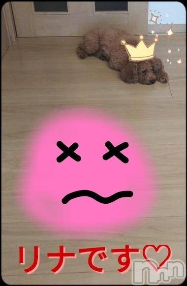 長岡デリヘルBIANCA～主人の知らない私～長岡店(ビアンカナガオカテン) 横山　リナ(35)の11月12日写メブログ「☆リナです☆」