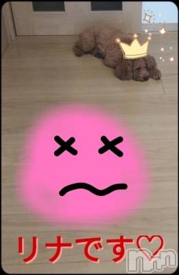 長岡デリヘル BIANCA～主人の知らない私～長岡店(ビアンカナガオカテン) 横山　リナ(35)の11月12日写メブログ「☆リナです☆」