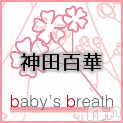 神田百華(ヒミツ) スリーサイズB().W.H。新潟メンズエステ baby's breath(ベイビーズブレス)在籍。