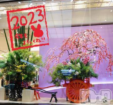 新潟デリヘル奥様特急 新潟店(オクサマトッキュウニイガタテン)みいさ(35)の2023年1月1日写メブログ「謹賀新年❤️」
