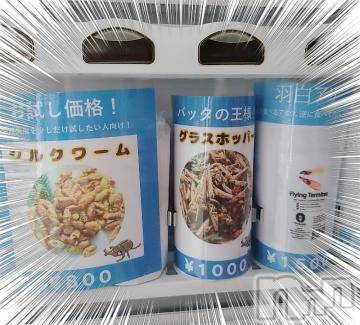 新潟デリヘル奥様特急 新潟店(オクサマトッキュウニイガタテン)みいさ(35)の2023年6月4日写メブログ「[お題]from:コオロギパンさん」