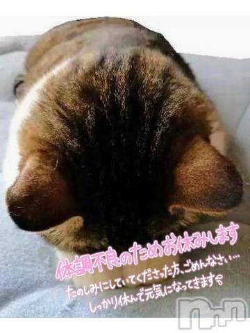 新潟デリヘル奥様特急 新潟店(オクサマトッキュウニイガタテン)みいさ(35)の2024年4月30日写メブログ「ごめんにゃさい😿」