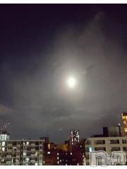 新潟デリヘル奥様特急 新潟店(オクサマトッキュウニイガタテン) みいさ(35)の2月16日写メブログ「月??」