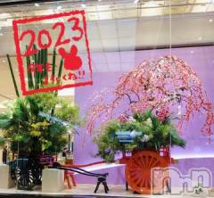新潟デリヘル奥様特急 新潟店(オクサマトッキュウニイガタテン) みいさ(35)の1月1日写メブログ「謹賀新年❤️」