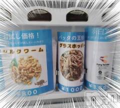 新潟デリヘル奥様特急 新潟店(オクサマトッキュウニイガタテン) みいさ(35)の6月4日写メブログ「[お題]from:コオロギパンさん」