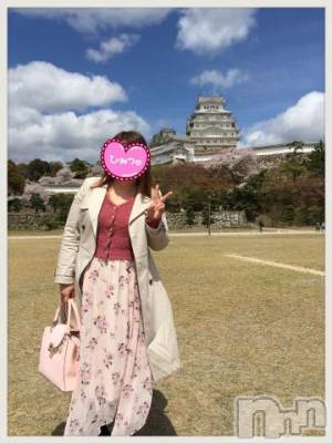 新潟デリヘル 奥様特急 新潟店(オクサマトッキュウニイガタテン) みいさ(35)の4月9日写メブログ「春だなぁ?」