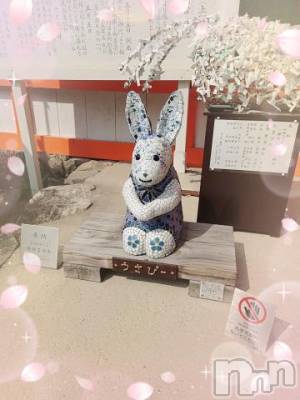 新潟デリヘル 奥様特急 新潟店(オクサマトッキュウニイガタテン) みいさ(35)の3月20日写メブログ「出勤しました❤️」