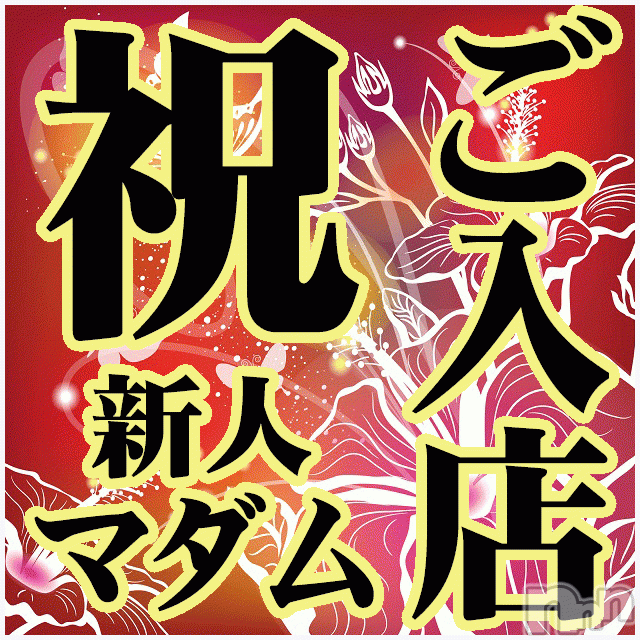 新潟人妻デリヘル(イソジマダムニイガタテン)の2019年11月14日お店速報「新人マダムご入店☆一番乗りは誰？☆」