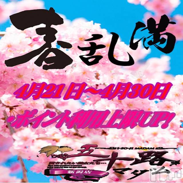 新潟デリヘル(イソジマダムニイガタテン)の2023年4月28日お店速報「★ポイント利用上限アップ★」