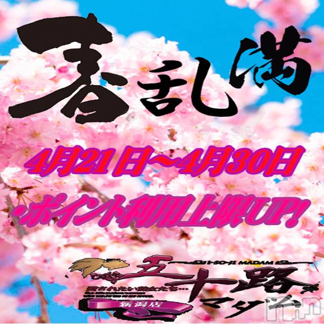 新潟デリヘル(イソジマダムニイガタテン)の2023年4月30日お店速報「★ポイント利用上限アップ★」