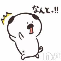 新潟デリヘル 五十路マダム新潟店(カサブランカグループ)(イソジマダムニイガタテン)の12月31日お店速報「新年からイベントやっちゃうよ(´∀｀)」