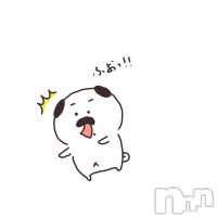 新潟デリヘル 五十路マダム新潟店(カサブランカグループ)(イソジマダムニイガタテン)の1月2日お店速報「いよいよ明日、営業開始！」