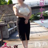 新潟デリヘル 五十路マダム新潟店(カサブランカグループ)(イソジマダムニイガタテン)の8月8日お店速報「ご移動時間だけでご案内可能です♪」