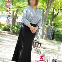 新潟デリヘル 五十路マダム新潟店(カサブランカグループ)(イソジマダムニイガタテン)の9月17日お店速報「本日の一押しマダム❤」