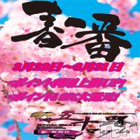 新潟デリヘル 五十路マダム新潟店(カサブランカグループ)(イソジマダムニイガタテン)の3月25日お店速報「「春一番」イベント！！」