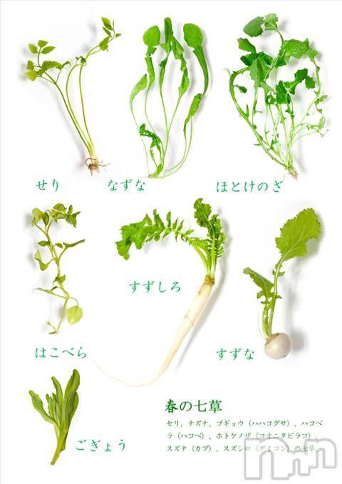 Ʋʥå륺СMuscat`s(ޥå) Τ17̥֥֤ΤؤĴ(⸝ᵕᴗᵕ⸝⸝)
