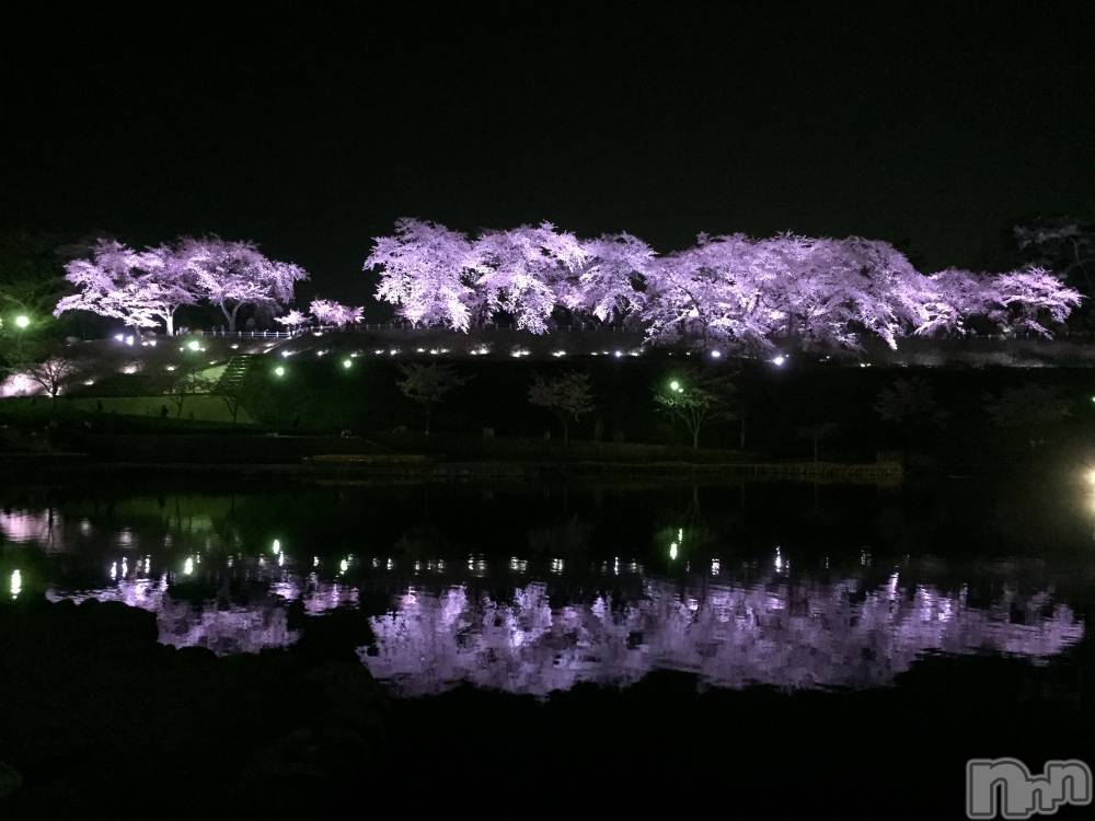Ʋʥå륺СMuscat`s(ޥå) Τ413̥֥֤Ϥ