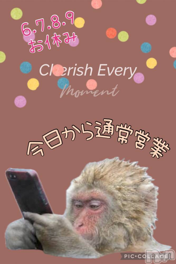 Ʋʥå륺СMuscat`s(ޥå) Τ510ֺ̥֥鲶ϡ