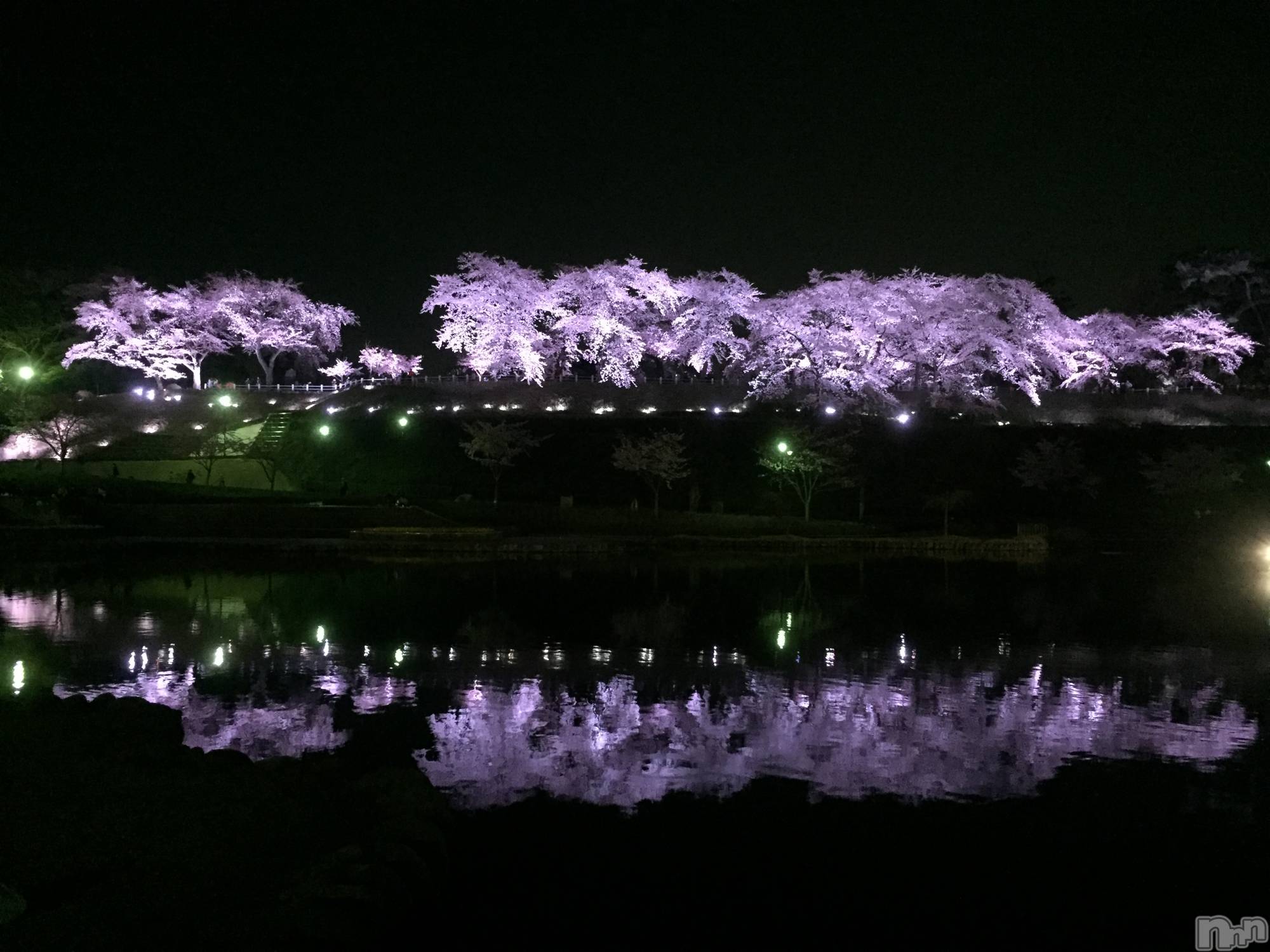 Ʋʥå륺СMuscat`s(ޥå) 2019ǯ413̥֥֤Ϥ
