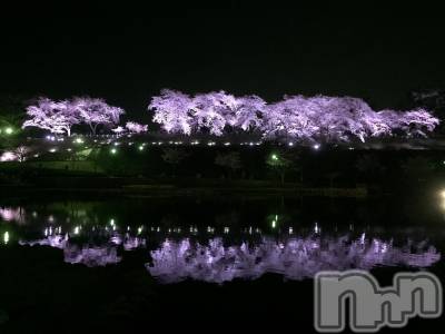 Ʋʥå륺СMuscat`s(ޥå) Τ413̥֥֤Ϥ