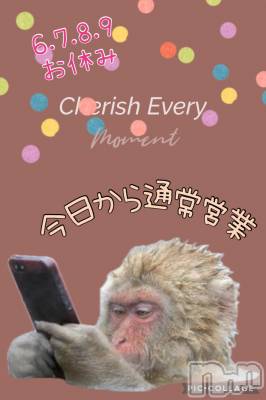 Ʋʥå륺СMuscat`s(ޥå) Τ510ֺ̥֥鲶ϡ