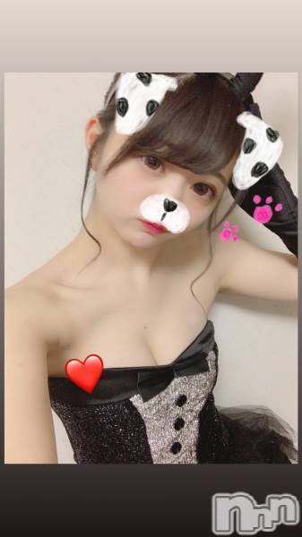 Х顦ֲClub Leara(󥻥  쥢)  2019ǯ53̥֥֣ǣפΥǥϥ쥢ˤǤ̩Τäݢ