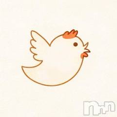 新潟ソープスチュワーデス マコト(26)の2月23日写メブログ「まことのつぶやき」