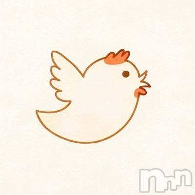 新潟ソープ スチュワーデス マコト(26)の2月23日写メブログ「まことのつぶやき」