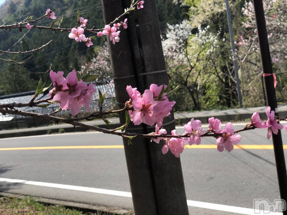 飯田デリヘルFive 飯田店(ファイブイイダテン) さや(25)の5月9日写メブログ「明日は11:30からでます！」