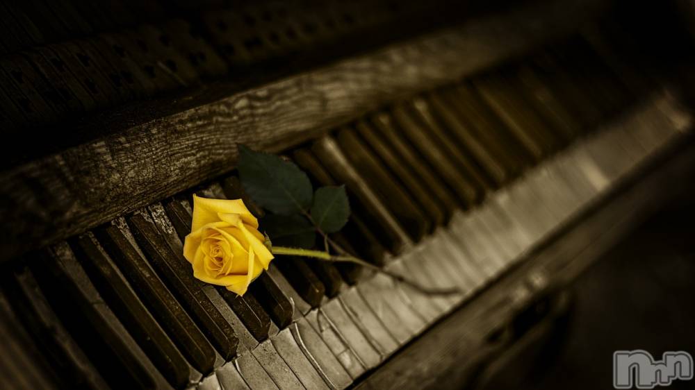 飯田デリヘルFive 飯田店(ファイブイイダテン) さや(25)の12月22日写メブログ「冬至‥♡」