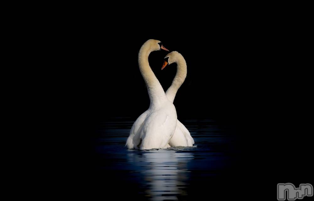 飯田デリヘルFive 飯田店(ファイブイイダテン) さや(25)の1月25日写メブログ「（^人^）♡！！」